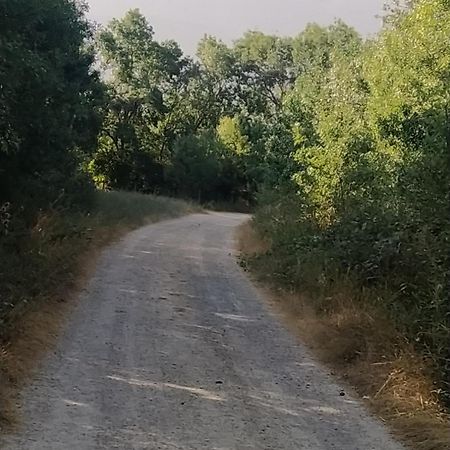 Casa "El Villar" Matabuena Kültér fotó