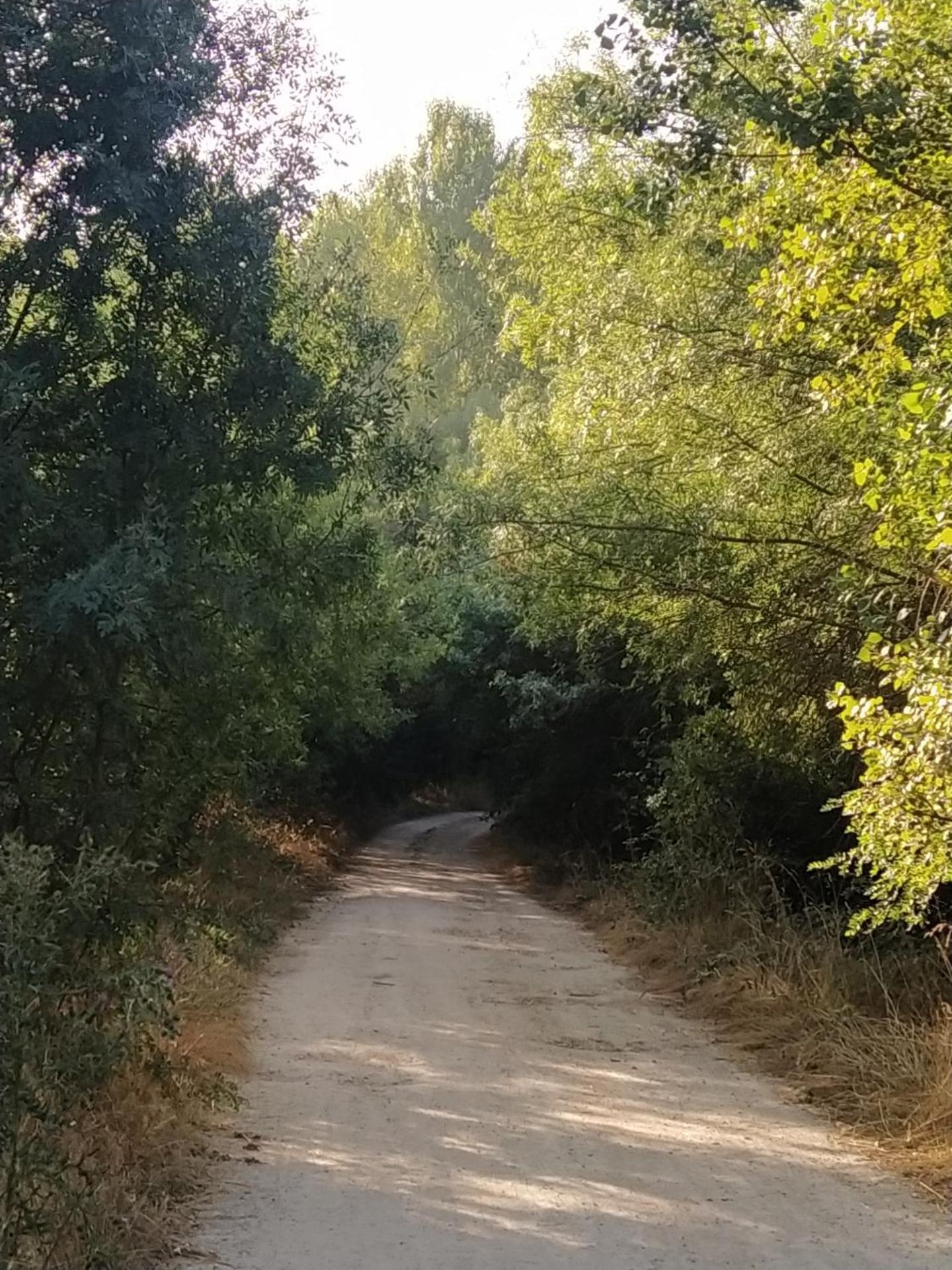 Casa "El Villar" Matabuena Kültér fotó
